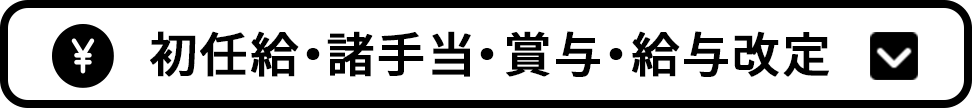 初任給・諸手当・賞与・給与改定