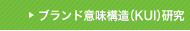 ブランド意味構造（KUI）研究